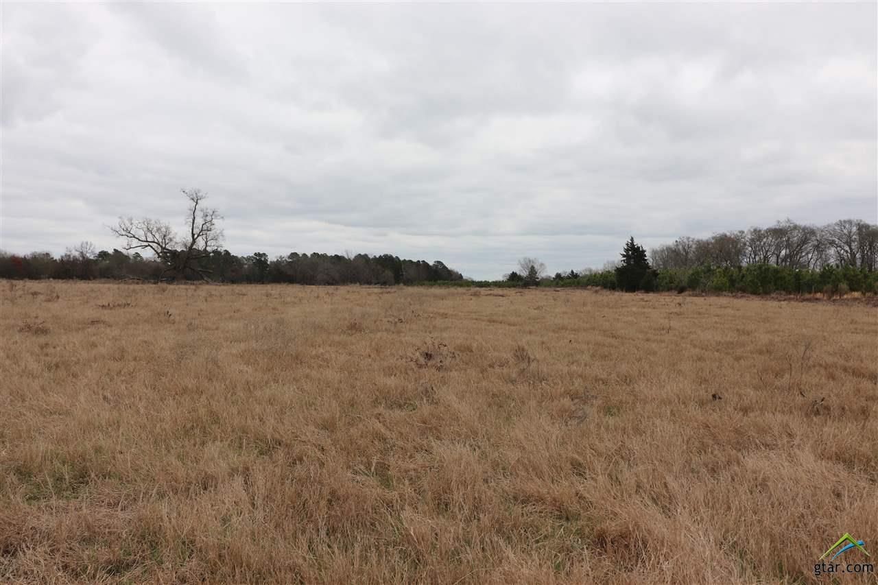 tbd cr 4114: tbd cr 4114, Pittsburg, TX 75686